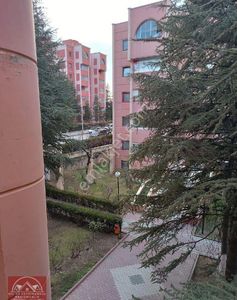 Konut-Daire
