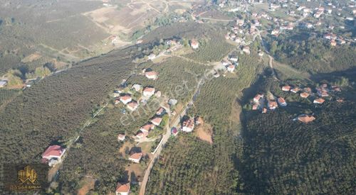 Arsa-Bağ & Bahçe