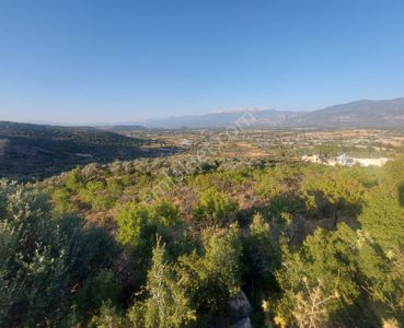 Arsa-Tarla