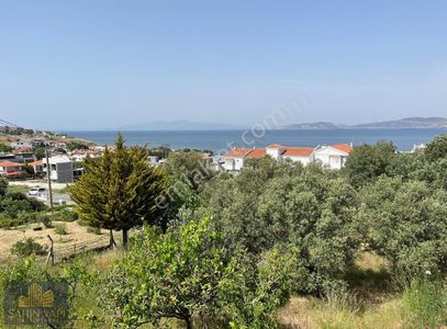 Arsa-Tarla