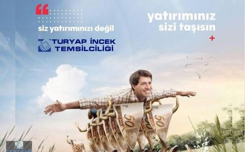 Arsa-Konut İmarlı