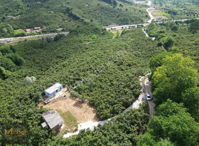 Arsa-Tarla