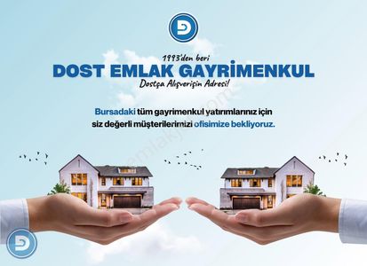 Arsa-Zeytinlik