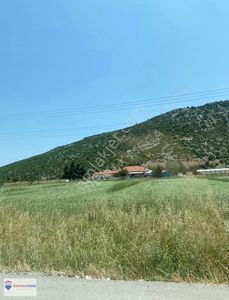 Arsa-Konut İmarlı