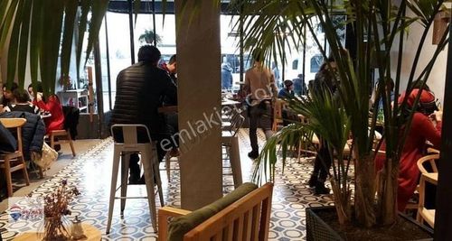 İşyeri-Kafe & Bar