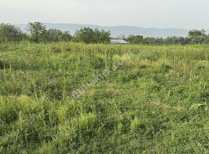 Arsa-Tarla