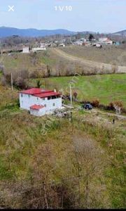 Arsa-Bağ & Bahçe