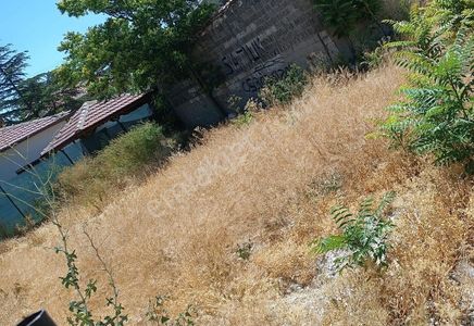 Arsa-Konut+Ticaret Alanı