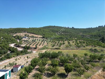 Arsa-Tarla