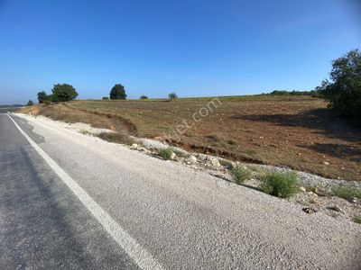 Arsa-Tarla