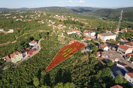 Arsa-Konut+Ticaret Alanı