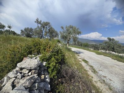 Arsa-Tarla