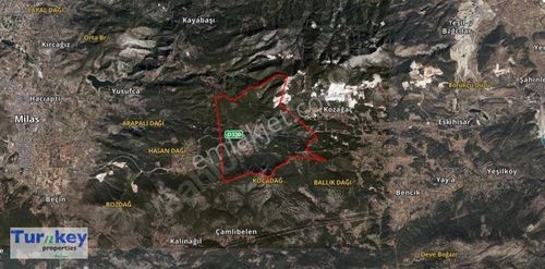 Arsa-Zeytinlik