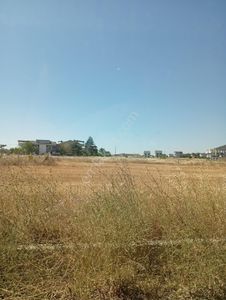 Arsa-Konut İmarlı