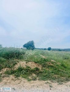 Arsa-Tarla