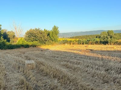 Arsa-Tarla