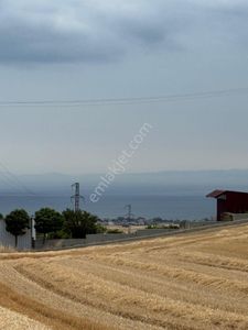Arsa-Tarla