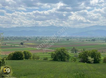 Arsa-Tarla
