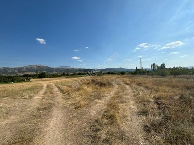 Arsa-Tarla