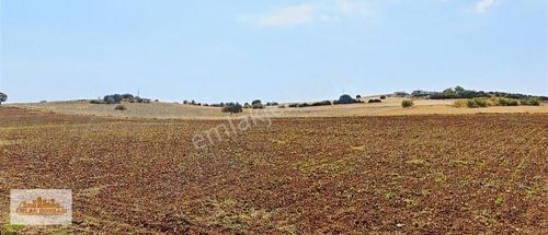 Arsa-Konut İmarlı