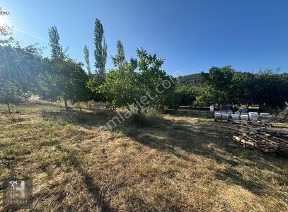 Arsa-Tarla