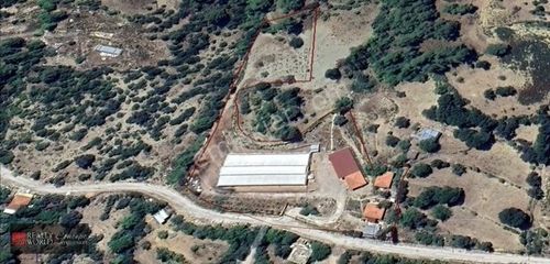 Konut-Çiftlik Evi