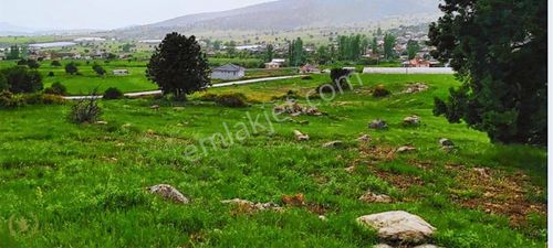 Arsa-Konut İmarlı