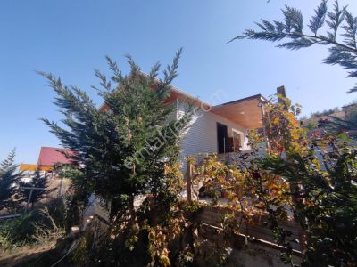 Arsa-Bağ & Bahçe