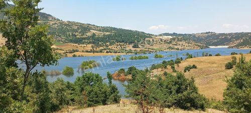 Arsa-Tarla
