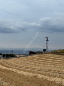 Arsa-Tarla