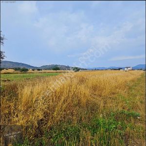 Arsa-Tarla
