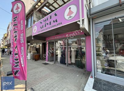 İşyeri-Dükkan & Mağaza