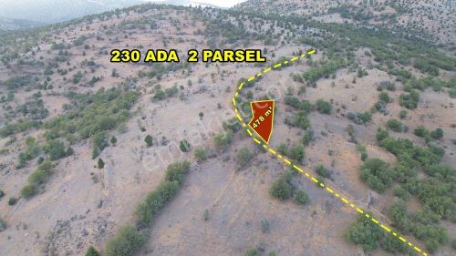 Arsa-Tarla