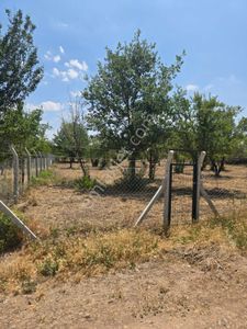 Arsa-Tarla