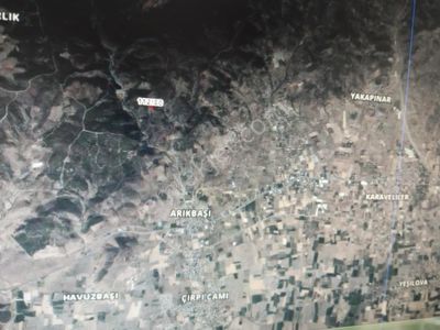 Arsa-Zeytinlik