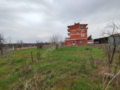 Arsa-Konut İmarlı