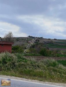 Arsa-Tarla