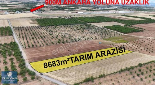 Arsa-Tarla