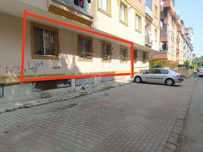 Konut-Daire
