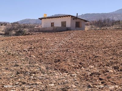 Arsa-Bağ & Bahçe
