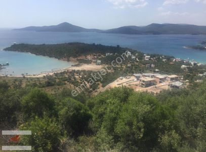 Arsa-Zeytinlik