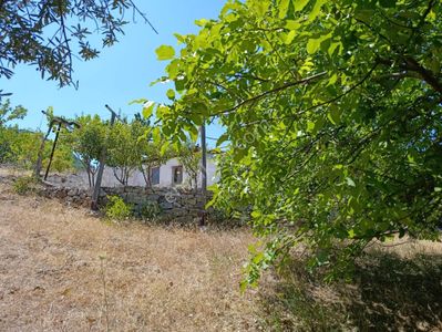 Arsa-Tarla