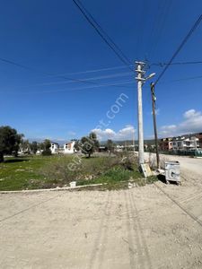 Arsa-Konut İmarlı