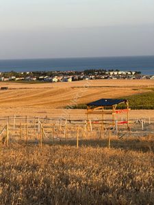 Arsa-Tarla