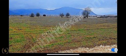 Arsa-Özel Kullanım
