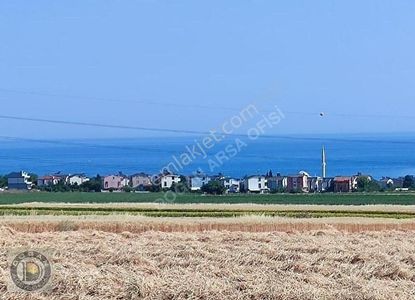 Arsa-Tarla