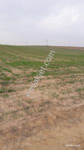 Arsa-Sanayi İmarlı
