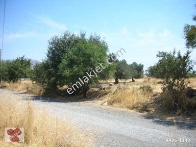 Arsa-Sanayi İmarlı