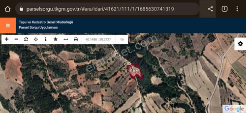 Arsa-Tarla
