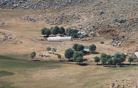Arsa-Özel Kullanım